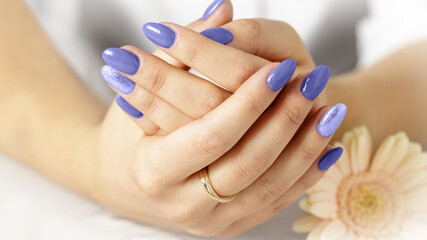 Elegant hands with fresh violet manicure with  yellow daisy gerbera flower. Trendy color of 2022...