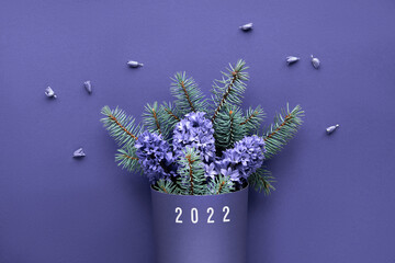 Bouquet d& 39 hiver sur fond de papier monochrome violet très péri. Arrangement d& 39 hiver simple et minimal avec des brindilles de sapin et des fleurs de jacinthe bleue. Mise à plat, vue de dessus.