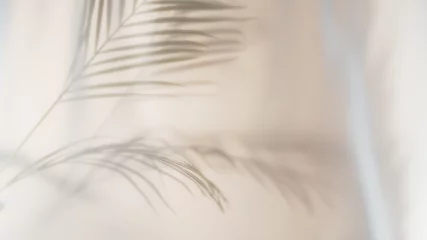 Tuinposter Palm leaves shadow on beige background, freeze motion © Lukas Gojda