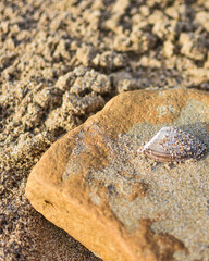 Rock and Sand 