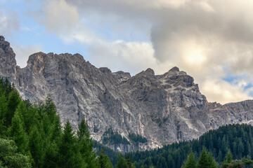 Italian Dolomites and coniferous forest in the evening after rain