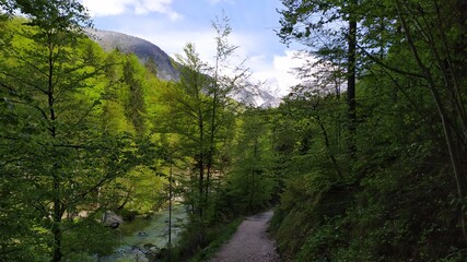 Fototapeta na wymiar Tolmin Gorge in Triglav national park, Slovenia