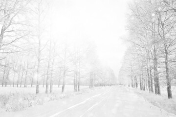 winter road top view, frost forest landscape outdoor