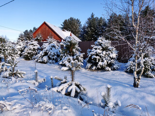 Country  rough road on snow in winter season. Russian rural outdoor landscape.