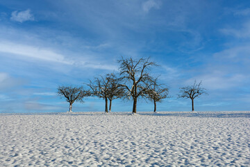 Winter landscape with a lot of snow, some trees and a blue sky