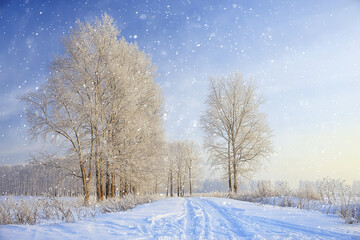 Obraz premium winter landscape trees covered with hoarfrost