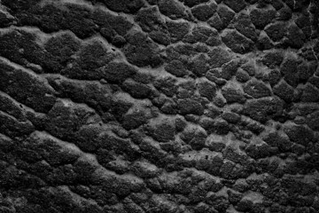 Fototapeta premium asphalt in cracks texture / abstract background cracks on asphalt road