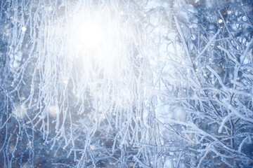 winter background snowfall trees abstract blurred white