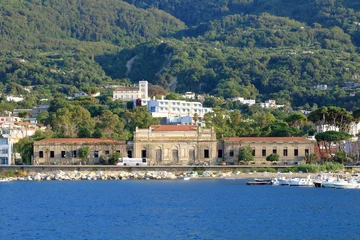Foto auf Acrylglas Coastal landscape with marina of Casamicciola Terme, Ischia Island, Italy © Dynamoland