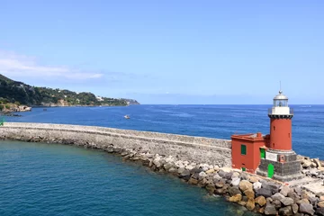 Foto op Plexiglas Ischia Porto in Italy, harbor district © Dynamoland