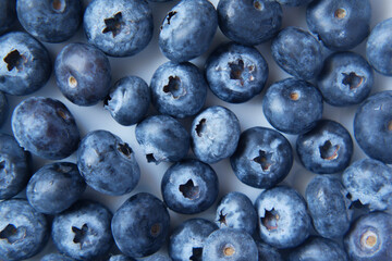 Close up of fresh blue berry with water drops .