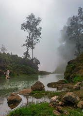 fog on the river