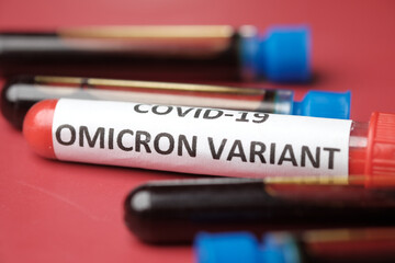  omicron variant corona virus blood test tube on red background 