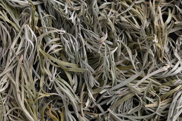 close up of dried Artemisia absinthium leaves