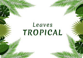 Tropical nature decoration background vector illustration