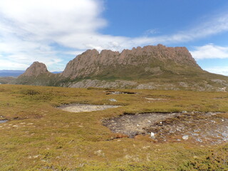 nature