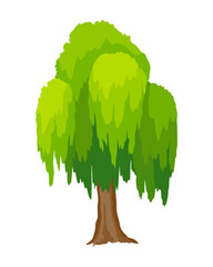Tree. Eco concept of nature plant. Vector flat green willow tree icon isolated on white background. Garden botanical element © the8monkey