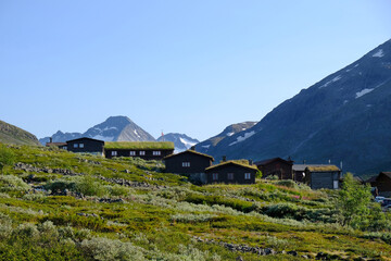 Traditional wooden turf houses in in Visdalen valley, on Visa River. Spiterstulen - Norwegian...