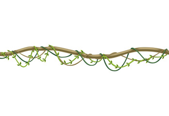 Liana stem border. Rainforest green vine or twisted plant hanging on branch. Cartoon jungle creeper. Tropical nature plant © the8monkey