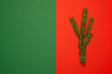 Christmas composition a sprig of spruce on a red-green background. Christmas concept