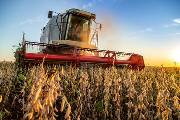 Combine harvester in soybean field