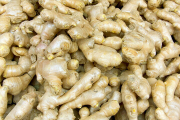 A pile of fresh ginger roots.