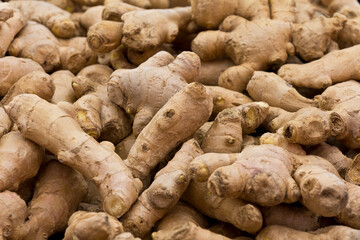 A pile of fresh ginger roots.