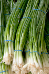 Fresh scallions in a Frame's Market.