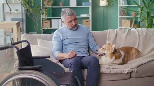 Sad Elderly Man with Disabilities Stroking His Dog While Sitting on the Couch, Feeling Lonely, Depressed. Aging, Drama, Canistherapy, Best Friend, Consolation, Help, Pet. Psychological Health.