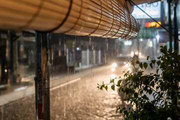 Bamboo curtain at heavy raining night