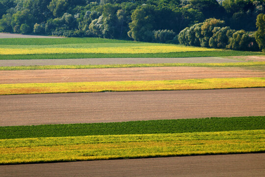 Colorful fields in the autumn near Bratislava, Slovakia