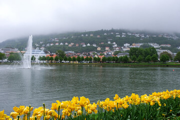 Blick über den innerstädtischen See Lille Lungegårdsvannet der norwegischen Stadt Bergen mit der...