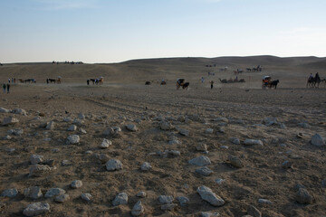 Caravan with tourists in the Egyptian desert