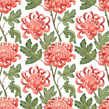 Japanese chrysanthemums vintage seamless pattern. Print for home decor, packaging, wallpaper. Illustration drawn with pencils on paper.
