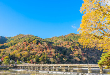Fototapeta na wymiar 京都　嵐山の紅葉風景