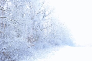 Zimowy krajobraz © Rafa