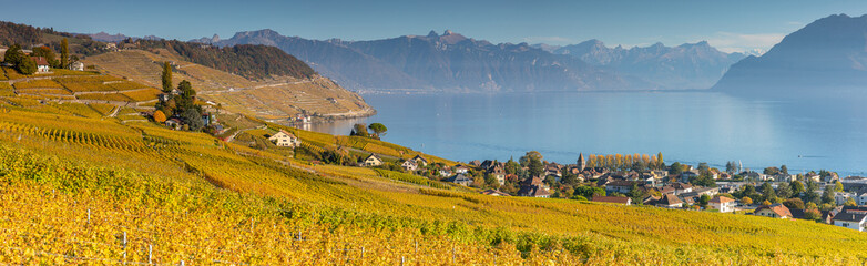 Vue sur le village de Cully et le lac Léman en Suisse