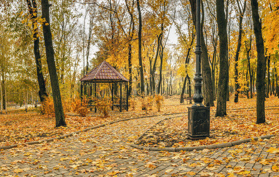 Gazebo in an autumn city park among fallen yellow leaves and bare trees 
