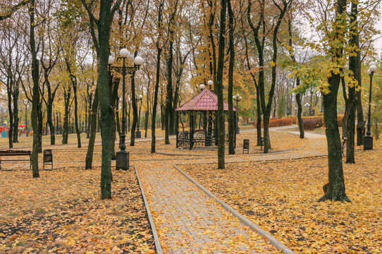 Gazebo in an autumn city park among fallen yellow leaves and bare trees 
