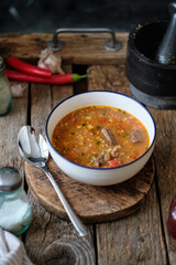 Kharcho. Spicy soup with beef, walnuts, tkemali, garlic and cilantro. Side view.