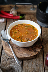 Kharcho. Spicy soup with beef, walnuts, tkemali, garlic and cilantro. Side view.