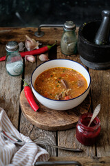 Kharcho. Spicy soup with beef, walnuts, tkemali, garlic and cilantro. Side view.