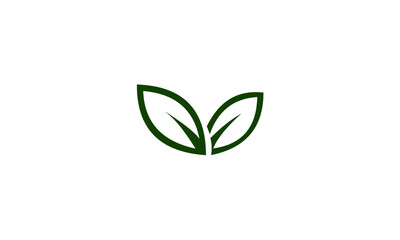 green plant on white