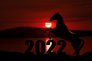 start the new year 2022, horse in the background of the setting sun	