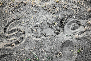 A word SAVE written on sand. Environmental protection concept.