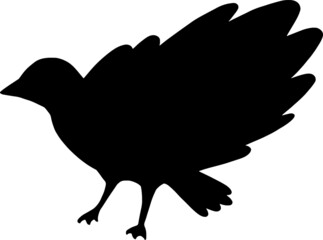 clip art of bird silhouette
