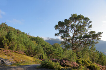 Obraz premium Norwegen - Landschaft bei Nordrevik und Vadheim / Norway - Landscape near Nordrevik and Vadheim /