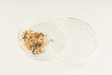 glass scientific bowl with plant seeds