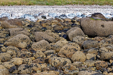 Pebble beach at Machrie Bay - Scotland