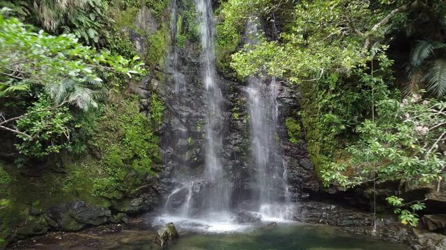 緑に囲まれた美しい滝に向かって前進・降下するドローン動画	
